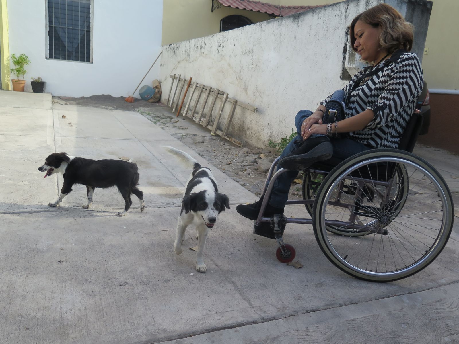  Ella se encarga de los talleres para niños y niñas que tenemos, se llama "Guardianes del Bienestar Animal", y es muy buena, también adopta perros, gatos y todo lo que puede. Ahí están sus dos perros, también como esta forma de inclusión de las personas que tienen discapacidad.