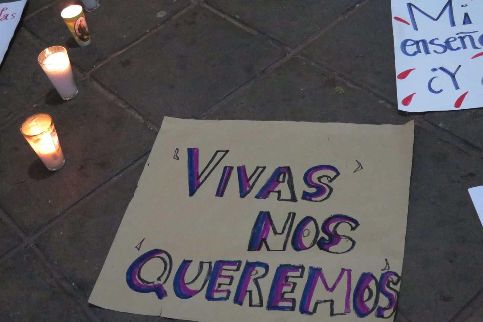 ¡Alto a los feminicidios!, las hemos escuchado gritar una y otra vez. No más tortura, desapariciones, trata y explotación sexual. Un ¡No más violencia contra las mujeres¡ hasta el cansancio, hasta llegar a perder el aliento por momentos. No más violencia en la casa y en la calle, en las instituciones.