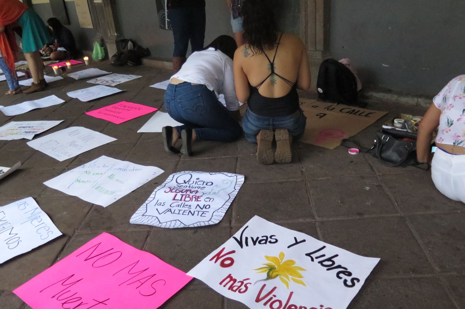 Quiero a través de estas fotografías, expresar el gran dolor y la rabia que veo en las jóvenes que están atestiguando y en su caso siendo víctimas de un sistema patriarcal, que toma sus cuerpos, los violenta y los mata. Quiero decir que la juventud está cambiando, que en los últimos años hemos visto el surgimiento de mujeres jóvenes que están saliendo a las calles, hacen plantones y marchas, se reúnen discuten y toman acuerdos para, entre otras acciones, denuncian a través de los diversos medios los abusos cometidos en su contra.
